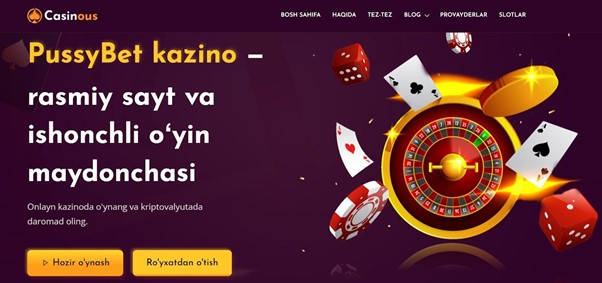 Партнерская программа
PussyBet
